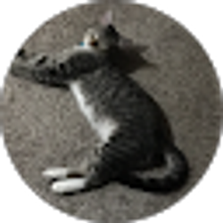 Profile photo of cristo d