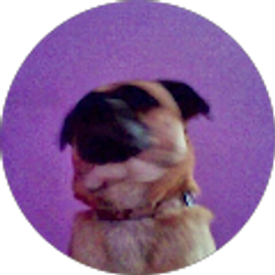 Profile photo of Tailyn J