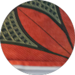 Profile photo of Judy Flynn