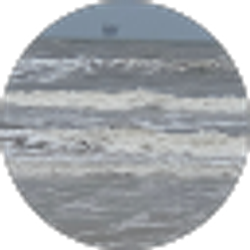 Profile photo of Shirenda Chargois