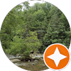 Profile photo of N S