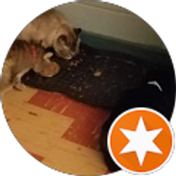 Profile photo of Megan Kohn