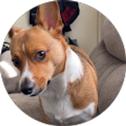 Profile photo of Samantha Bearden