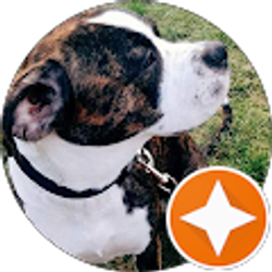 Profile photo of Criston Thomas