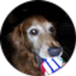 Profile photo of Brian Kempf