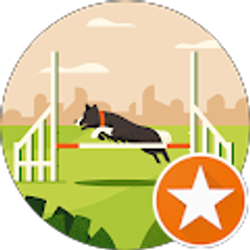 Profile photo of Branden Bailey