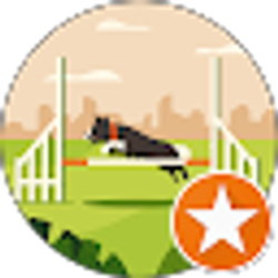 Profile photo of Branden Bailey