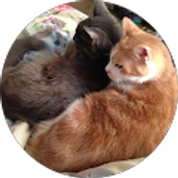 Profile photo of Charlton Carter