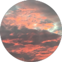 Profile photo of ovidio Torres