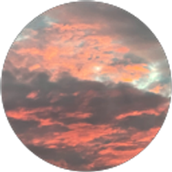 Profile photo of ovidio Torres