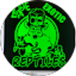 Profile photo of Zombie Exotics