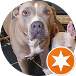 Profile photo of Catherine Willis Succarde