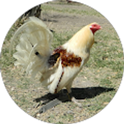 Profile photo of Gomez Family