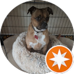 Profile photo of Pamela Radner