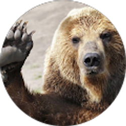 Profile photo of Kody Bennett