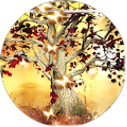 Profile photo of Tiffany Tindall