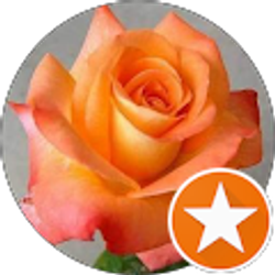 Profile photo of Sarah Beach