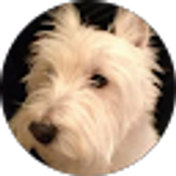 Profile photo of B&B L