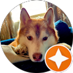 Profile photo of Carlos Rosario