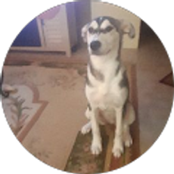 Profile photo of Blake Taylor