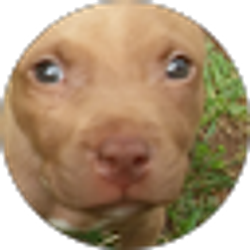 Profile photo of Jeff D.