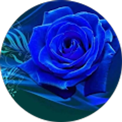 Profile photo of Estefania Pazmino