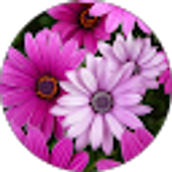 Profile photo of Naima Shah