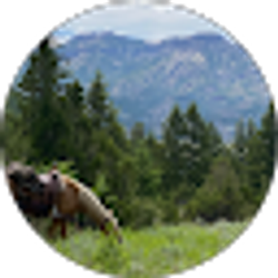 Profile photo of WyoHunter