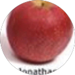 Profile photo of Nathen H