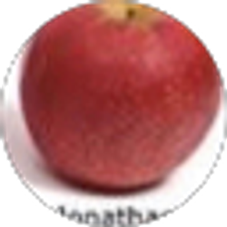 Profile photo of Nathen H