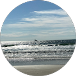 Profile photo of Paul Qualle