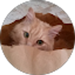 Profile photo of Vincent Hites