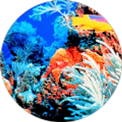 Profile photo of Simone 112898