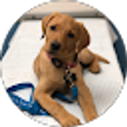 Profile photo of Nicky Sneen