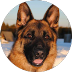 Profile photo of J&T Scott