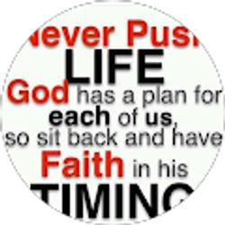 Profile photo of BARBARA SHULER