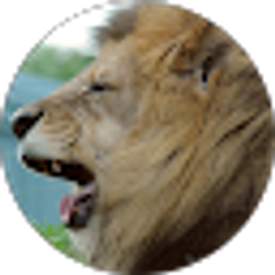 Profile photo of Andrew Amann