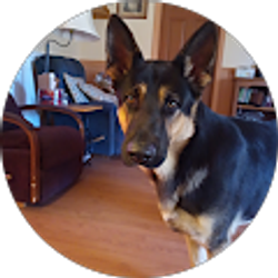 Profile photo of Mark Goff