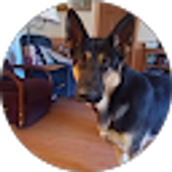 Profile photo of Mark Goff