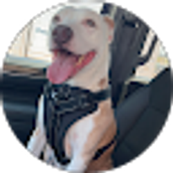 Profile photo of Taegan Abrams