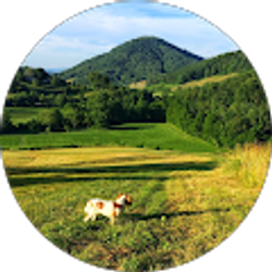 Profile photo of Devon Rhynes