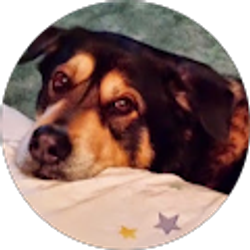 Profile photo of Lisa Inman