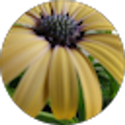 Profile photo of gina dawson