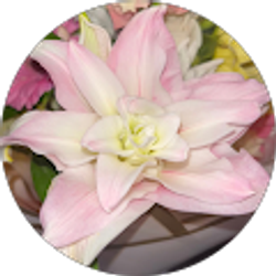 Profile photo of melane