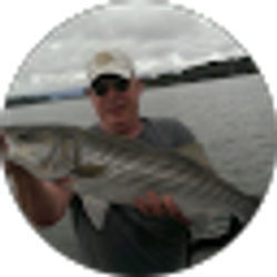 Profile photo of Ray Dillon