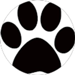 Profile photo of Ryan Cox