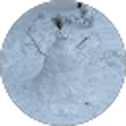 Profile photo of Evan Bushnell