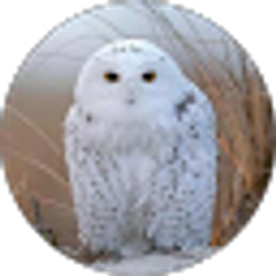 Profile photo of Brenda Spence
