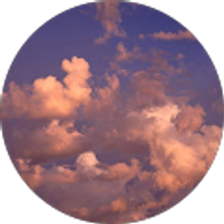 Profile photo of taylor ballew