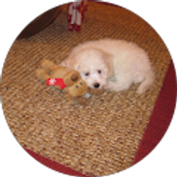 Profile photo of Michelle Doneburgh